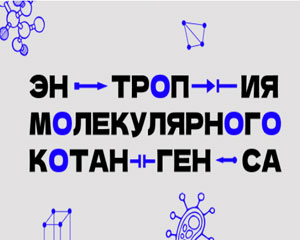 Энтропия молекулярного котангенса